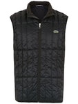 Colete Lacoste Acolchoado Matelass
